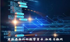   中国在国外的数字货币：机遇与挑战