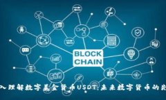深入理解数字美金货币U