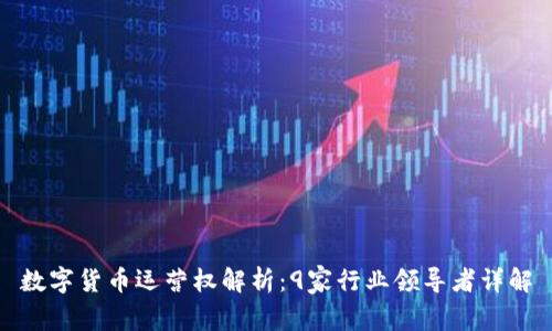数字货币运营权解析：9家行业领导者详解
