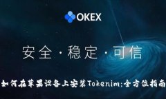 如何在苹果设备上安装T