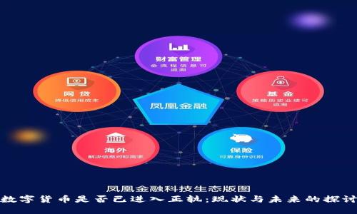 数字货币是否已进入正轨：现状与未来的探讨