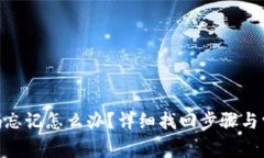 Tokenim密码忘记怎么办？详