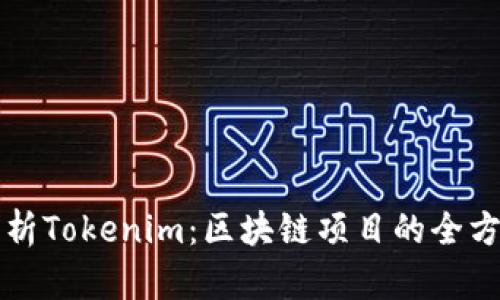 深入剖析Tokenim：区块链项目的全方位指南