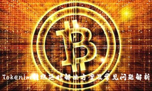 Tokenim转账延时解决方案及常见问题解析