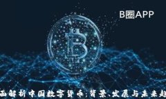 全面解析中国数字货币：