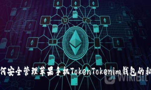 如何安全管理苹果手机TokenTokenim钱包的私钥