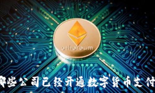   
哪些公司已经开通数字货币支付？