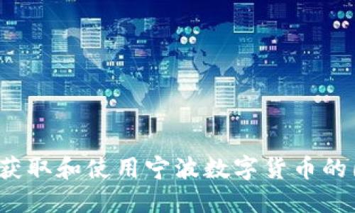 如何获取和使用宁波数字货币的图片?