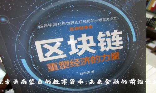 探索云南蒙自的数字货币：未来金融的前沿之地