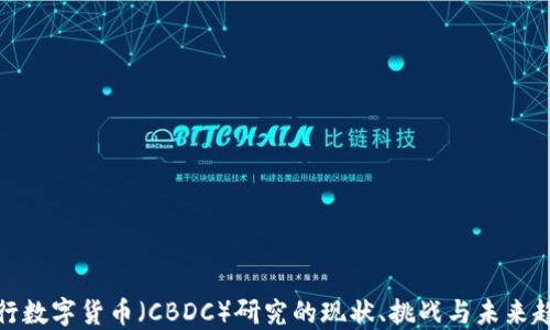 
央行数字货币（CBDC）研究的现状、挑战与未来趋势