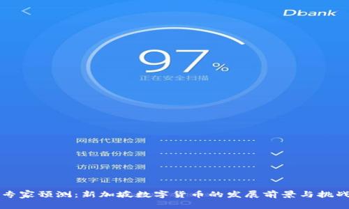 专家预测：新加坡数字货币的发展前景与挑战