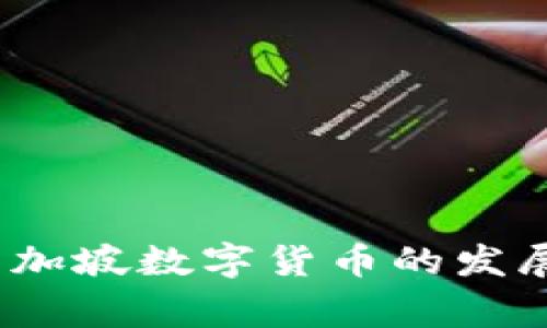 专家预测：新加坡数字货币的发展前景与挑战