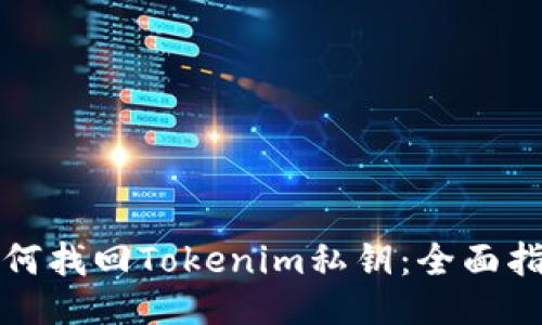 如何找回Tokenim私钥：全面指南