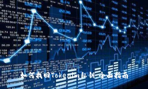 如何找回Tokenim私钥：全面指南