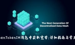 如何在TokenTokenIM钱包中获