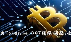 如何解决Tokenim DOT转账问题