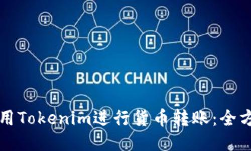 如何使用Tokenim进行货币转账：全方位指南