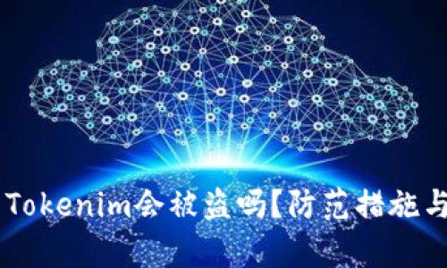 手机联网Tokenim会被盗吗？防范措施与安全分析