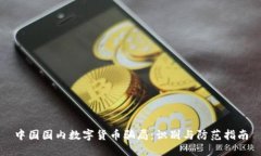 中国国内数字货币骗局：