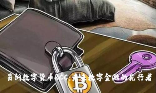 易纲数字货币RCC：未来数字金融的先行者