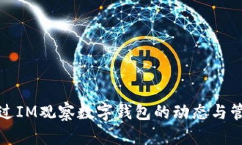 如何通过IM观察数字钱包的动态与管理技巧