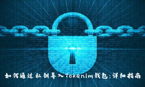 如何通过私钥导入Tokenim钱包：详细指南