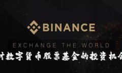 深入探讨数字货币股票基