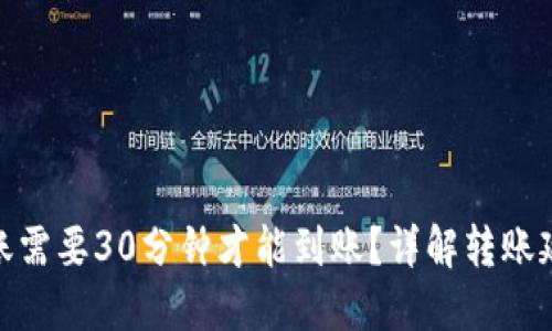 为什么Tokenim转账需要30分钟才能到账？详解转账延迟原因及解决方案