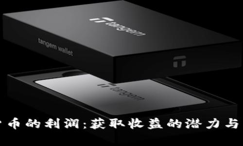 炒数字货币的利润：获取收益的潜力与风险分析