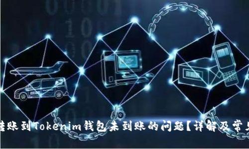 如何解决转账到Tokenim钱包未到账的问题？详解及常见问题解答