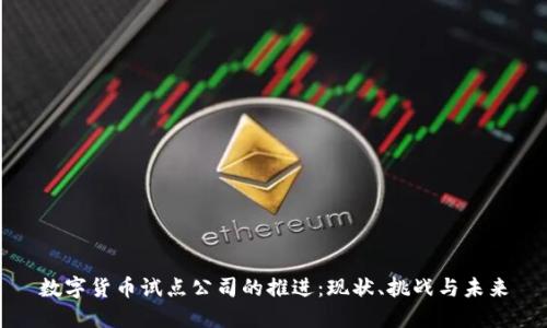 数字货币试点公司的推进：现状、挑战与未来