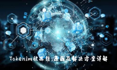 Tokenim被冻结：原因及解决方案详解