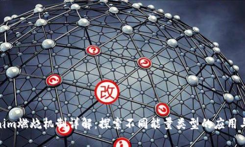 Tokenim燃烧机制详解：探索不同能量类型的应用与影响