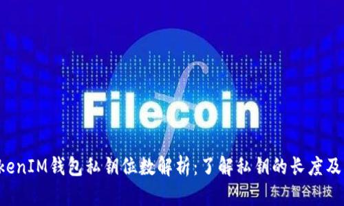 TokenTokenIM钱包私钥位数解析：了解私钥的长度及其安全性
