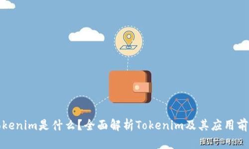 Tokenim是什么？全面解析Tokenim及其应用前景