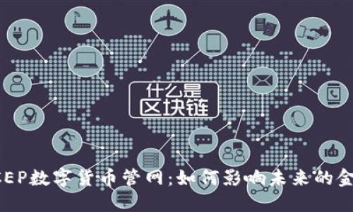 探索DCEP数字货币管网：如何影响未来的金融体系