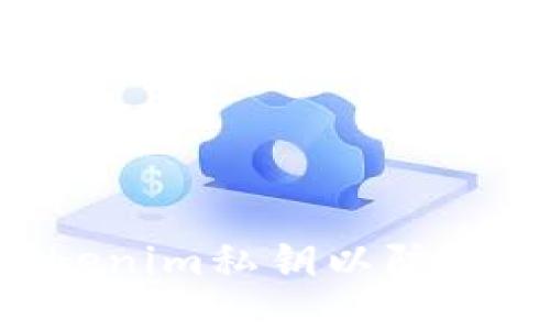 如何保护你的Tokenim私钥以防盗用：全面安全指南