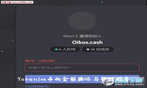 Tokenim币的金额显示与管理指导
