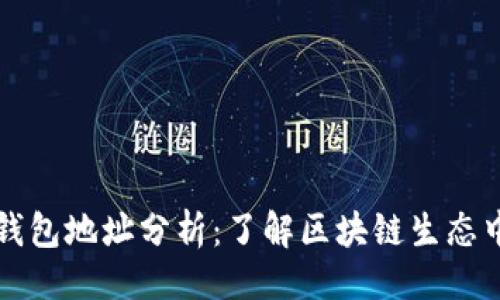 品类/品类
以太坊活跃钱包地址分析：了解区块链生态中的重要指标