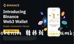 如何将 Tokenim 转移到 Bit