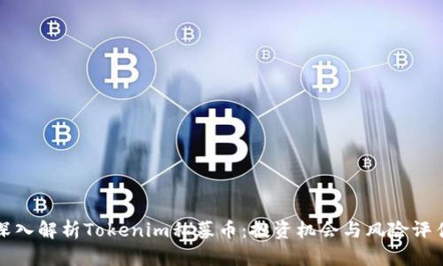 深入解析Tokenim私募币：投资机会与风险评估