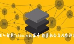 深入解析Tokenim私募币：投