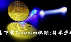 苹果手机如何快速下载T