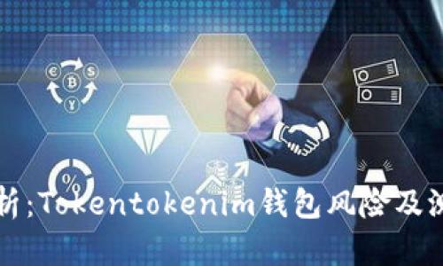 深入分析：Tokentokenim钱包风险及测试指南