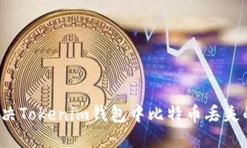 如何解决Tokenim钱包中比特币丢失的问题？