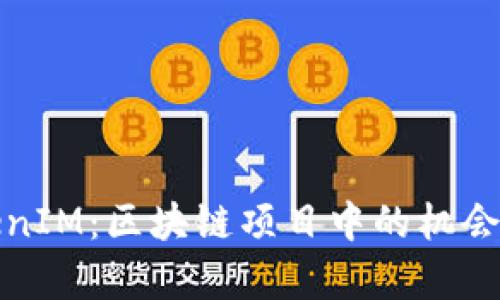 挖矿转TokenIM：区块链项目中的机会与挑战分析