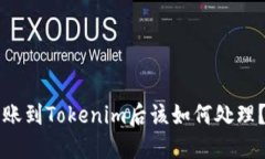 狗狗币转账到Tokenim后该如