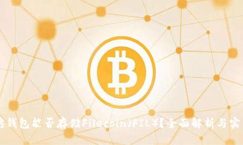 以太坊钱包能否存储Filecoin（FIL）？全面解析与实用指南