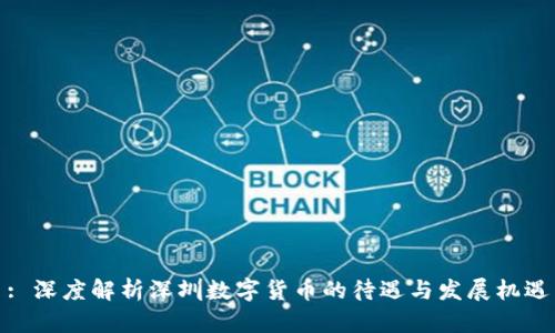 : 深度解析深圳数字货币的待遇与发展机遇