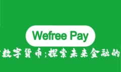 朱宁数字货币：探索未来